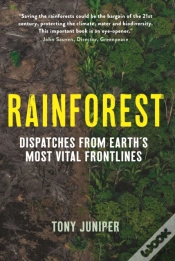 Capa do artigo Rainforest