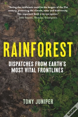 Capa do artigo Rainforest