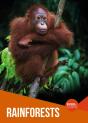 Rainforests - Preview