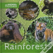 Rainforests