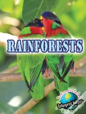 Capa do artigo Rainforests