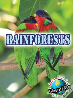 Capa do artigo Rainforests
