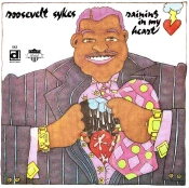 Capa do artigo Raining In My Heart - CD