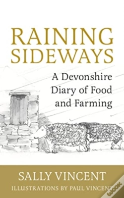 Capa do artigo Raining Sideways