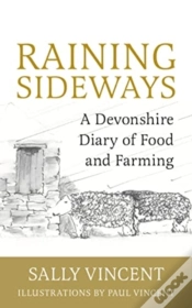 Capa do artigo Raining Sideways