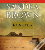 Capa do artigo Rainwater
