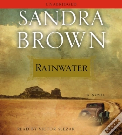 Capa do artigo Rainwater