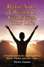 Raise Your Vibration, Transform Your Life - Preview