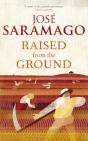 Raised From The Ground - Preview