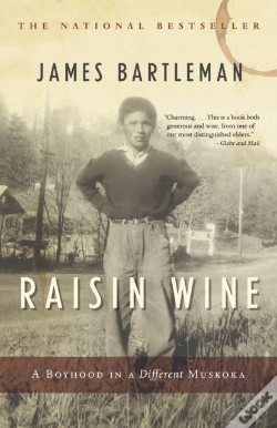 Capa do artigo Raisin Wine