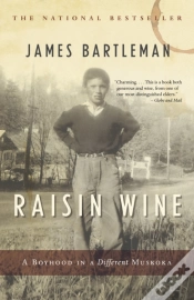 Capa do artigo Raisin Wine