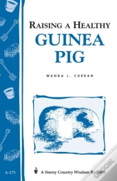Raising A Healthy Guinea Pig