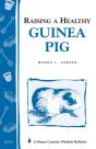 Raising A Healthy Guinea Pig - Preview