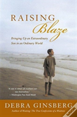 Capa do artigo Raising Blaze