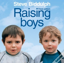Capa do artigo Raising Boys