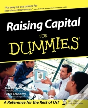 Capa do artigo Raising Capital For Dummies