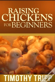 Capa do artigo Raising Chickens For Beginners