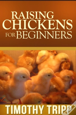 Capa do artigo Raising Chickens For Beginners