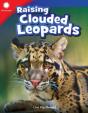 Raising Clouded Leopards - Preview