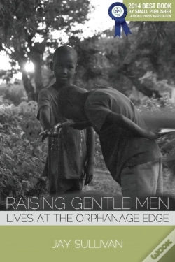 Capa do artigo Raising Gentle Men