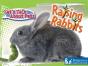 Raising Rabbits - Preview
