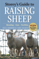 Raising Sheep