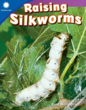 Capa do artigo Raising Silkworms