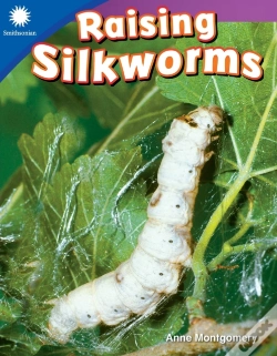 Capa do artigo Raising Silkworms