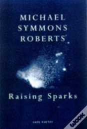 Capa do artigo Raising Sparks