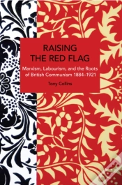Capa do artigo Raising The Red Flag