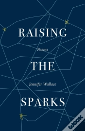 Capa do artigo Raising The Sparks