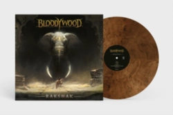 Capa do artigo Rakshak - Vinil