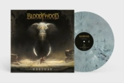 Capa do artigo Rakshak - Vinil