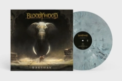 Capa do artigo Rakshak - Vinil