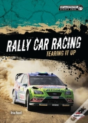 Capa do artigo Rally Car Racing
