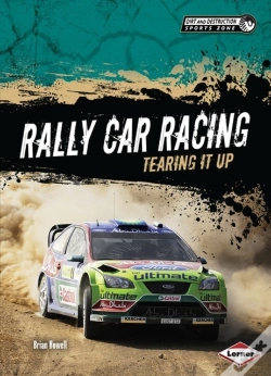 Capa do artigo Rally Car Racing