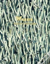 Capa do artigo Ralph Mueller: Wum