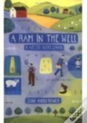 Capa do artigo Ram In The Well