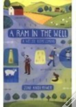 Capa do artigo Ram In The Well