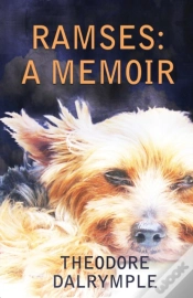 Capa do artigo Ramses