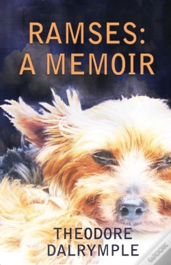 Capa do artigo Ramses