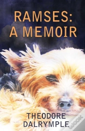 Capa do artigo Ramses