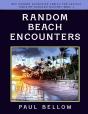 Random Beach Encounters - Preview