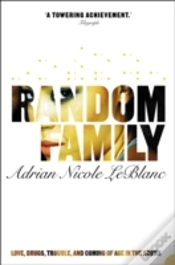 Capa do artigo Random Family