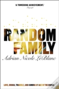 Capa do artigo Random Family