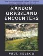 Random Grassland Encounters - Preview