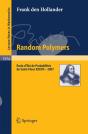 Random Polymers - Preview