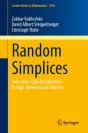 Random Simplices - Preview