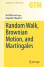Random Walk, Brownian Motion, And Martingales - Preview