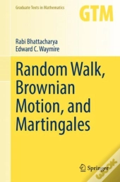 Random Walk, Brownian Motion, And Martingales